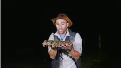 Late Night Dive