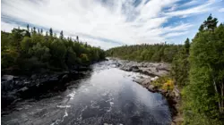 Newfoundland Part 1