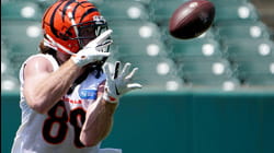 Cincinnati Bengals ADP Review: Hayden Hurst