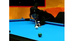 2025 Predator Pro Billiard Series: Spain