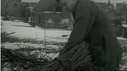 Rising From the Ashes