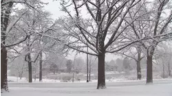 TODAY's Al Roker Tracks Brutal Cold Temps From Coast to Coast