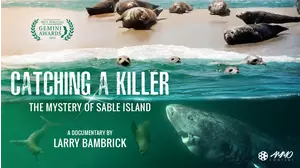 Catching A Killer: The Mystery Of Sable Island