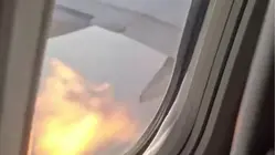 Bird Strike Sparks Midair Engine Fire on American Airlines Plane