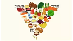 Expert explains major changes to the food pyramid under Trump administration