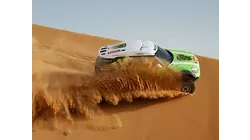 Wild across the desert