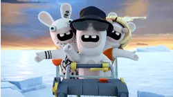 Customer Service Rabbid