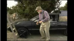 The Auto Club