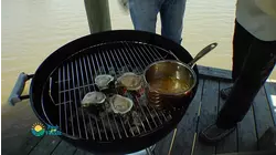 How To Do Florida Unleashed