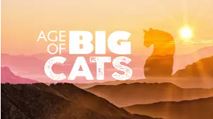 Age Of Big Cats