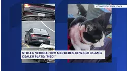 Mercedes stolen from I-95 rest area with cat inside