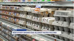 New study shows egg allergies are falling among children