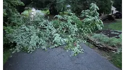 Storm damage leaves tree down, wires tangled and road blocked in Wyckoff