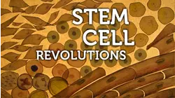 Stem Cell Revolutions