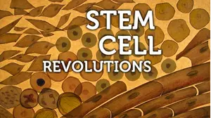 Stem Cell Revolutions