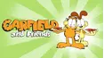Garfield and Friends