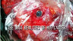 The Lost Realities of Hog Caller