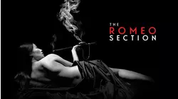 Romeo Section 2 - Assassins: Rising Tide
