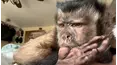 Best Pets of the Month