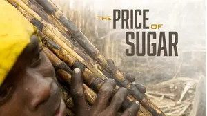 The Price of Sugar