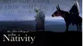 True Story of the Nativity