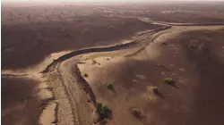 Leopard, Sand & Heat