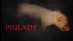 Piglady