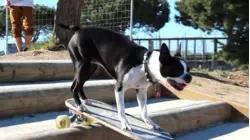 Cheezin' for the Camera