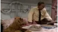 ALF