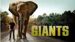 Giants