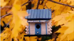 Life In A Landscape