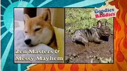 Goodies VS. Baddies | Zen Masters & Messy Mayhem