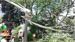 Storm damage leaves Hudson Valley residents facing outages, downed trees and dangerous wires