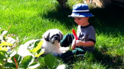 Best Pets of the Month | Ep. 4.6