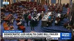 Democratic-led health care bill fails