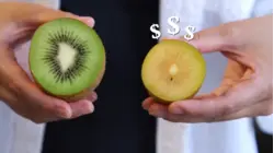 How A $1 Billion Gold Kiwi Breed Saved New Zealand's Industry