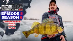 Fish Addictions S6:E5 "Our Best Jumbo Perch Bite Yet??" pt2