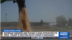 'We need a deal': US farmers have a lot riding on Trump-Xi meeting