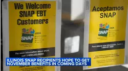 Illinois SNAP recipients to receive all November benefits by next week