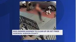 Hoboken mayor calls out residents for not cleaning up after dogs