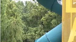 More than $60 million secured to rebuild Altadena parks destroyed by Eaton Fire