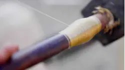 Why Muga Silk Is So Expensive