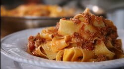 Bolognese