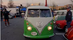 Beetles, Bugs, and Buses, Oh My!