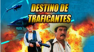 Destino De Traficantes
