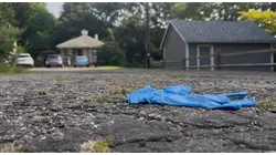 Person found shot twice in driveway outside Ellenville home
