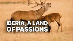 Iberia: A Land of Passions