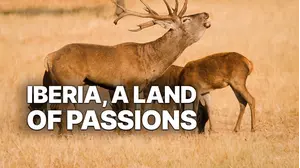 Iberia: A Land of Passions