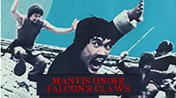 Mantis Under Falcon Claws