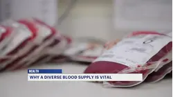 Red Cross: Having a diverse blood supply is vital due to constant need